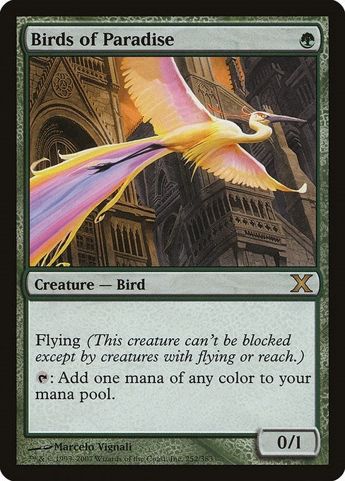 Birds of Paradise (252) (10th Edition)