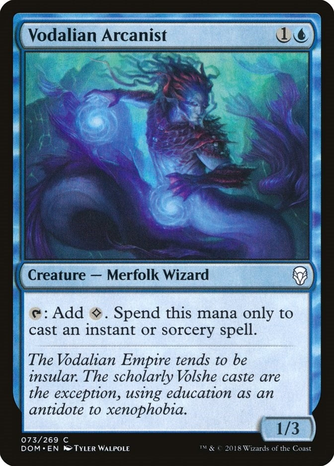 Image for Vodalian Arcanist (73) - Magic: The Gathering