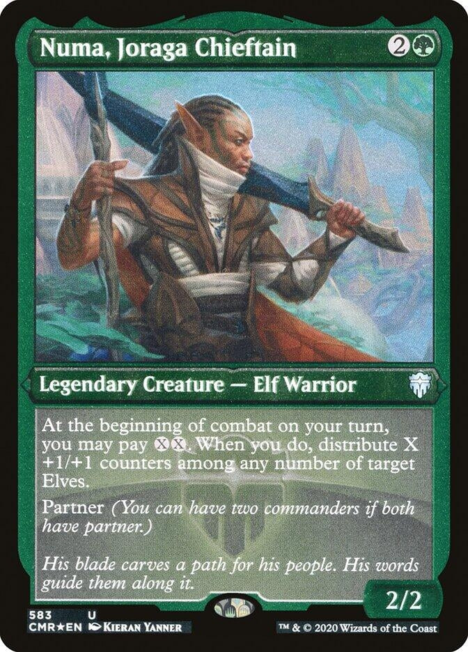 Numa, Joraga Chieftain (Foil Etched) (583) (Commander Legends)