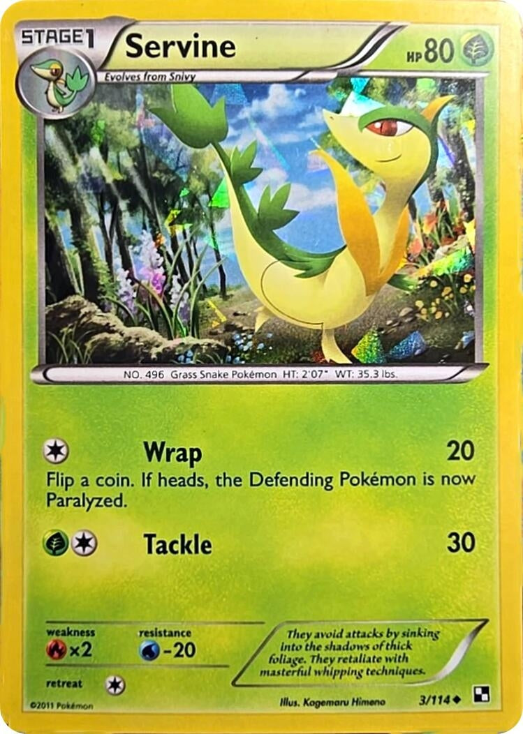 Image for Servine - 3/114 (Cracked Ice Holo) (003/114) (Miscellaneous Cards & Products) - Pokemon