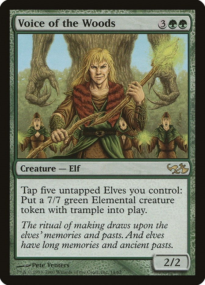 Voice of the Woods (14)