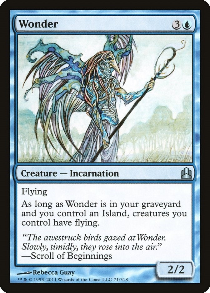 Wonder (71)