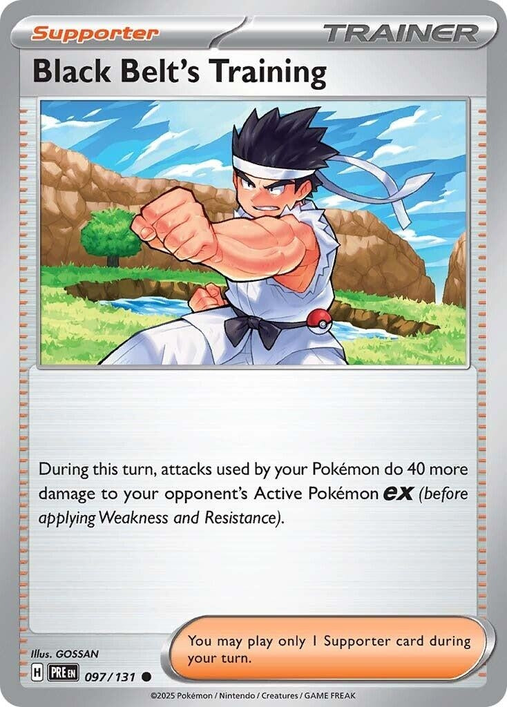 Black Belt's Training (097/131) (SV: Prismatic Evolutions)