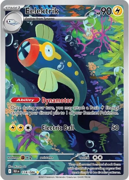 Eelektrik (114/086) (SV: Black Bolt)