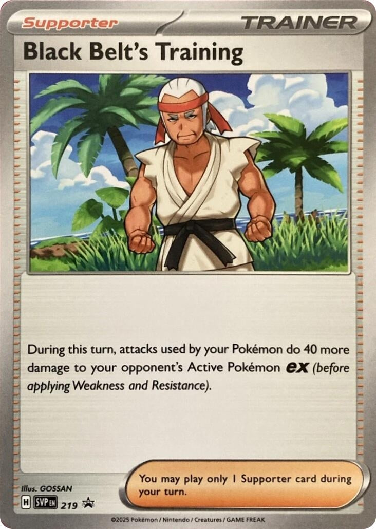 Black Belt's Training - 219 (219) (SV: Scarlet & Violet Promo Cards)