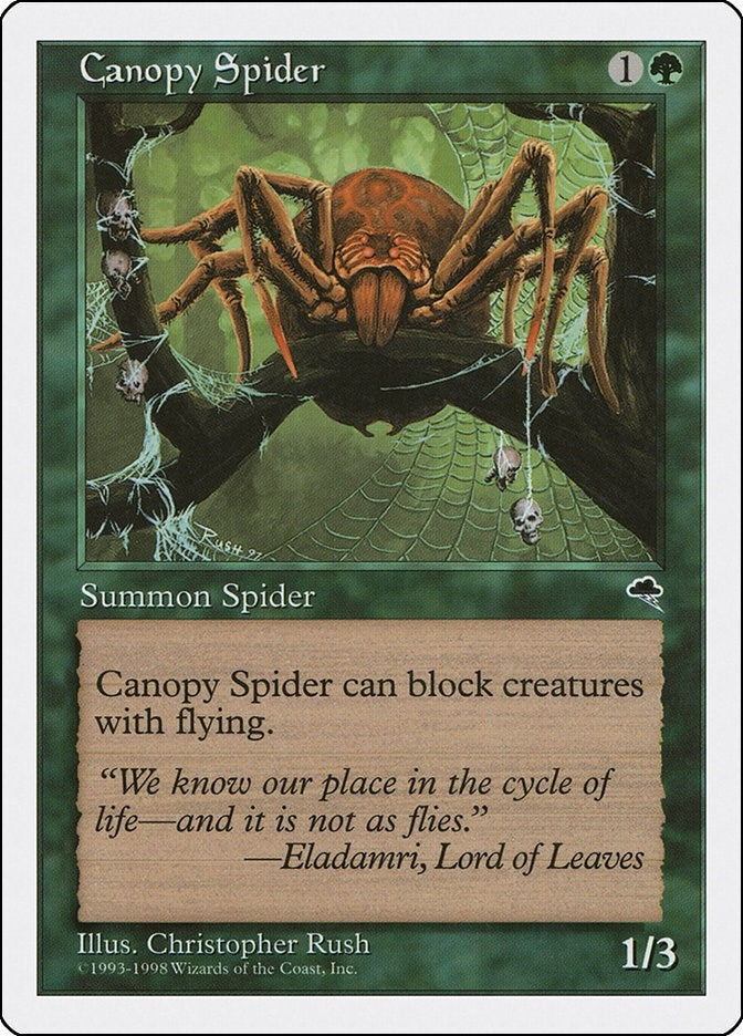 Image for Canopy Spider (64) (Anthologies) - Magic: The Gathering