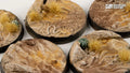 GamersGrass Bases - Deserts of Maahl 40mm - Round