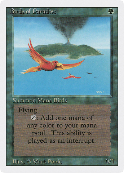 Birds of Paradise (Revised Edition)