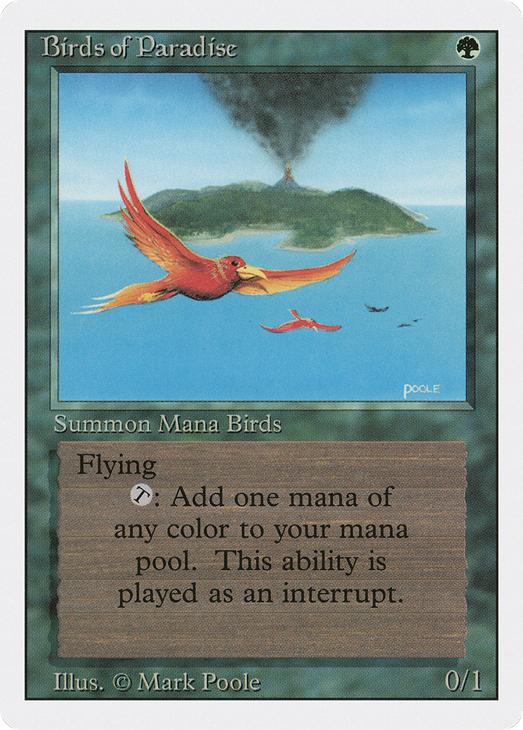 Birds of Paradise (Revised Edition)