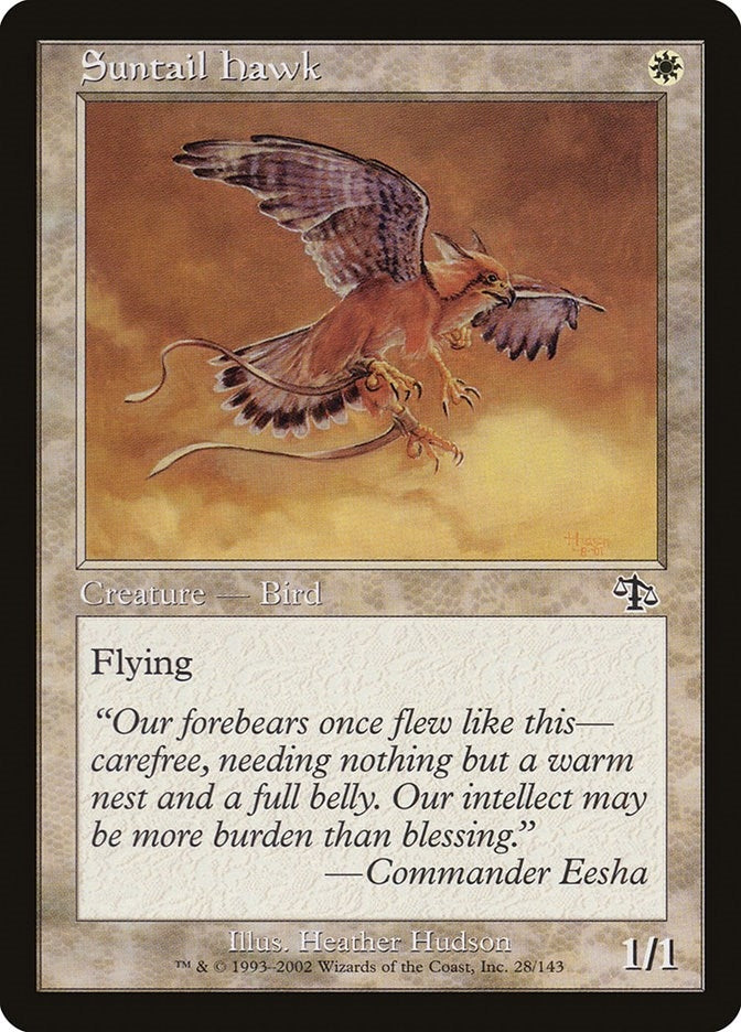 Suntail Hawk (28) (Judgment)