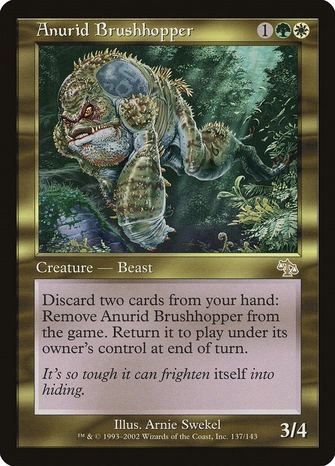 Anurid Brushhopper (137) (Judgment)