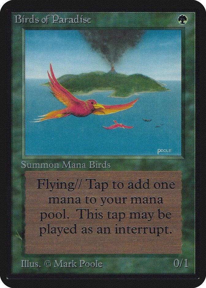 Birds of Paradise (Alpha Edition)