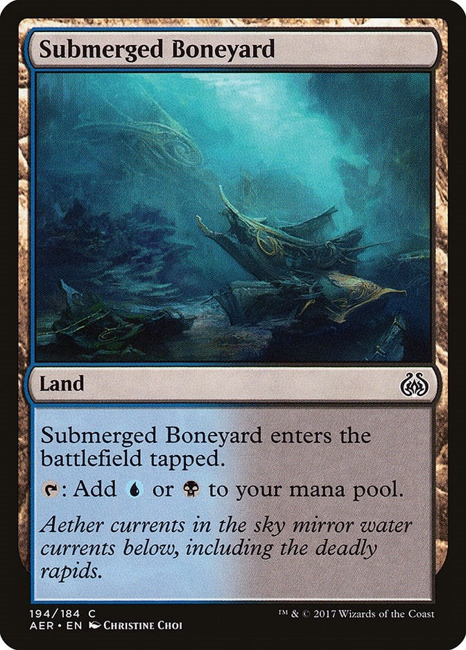 Image for Submerged Boneyard (194) [AER]