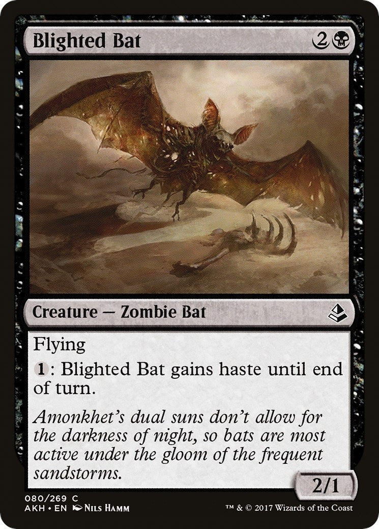 Blighted Bat (80) (Amonkhet)