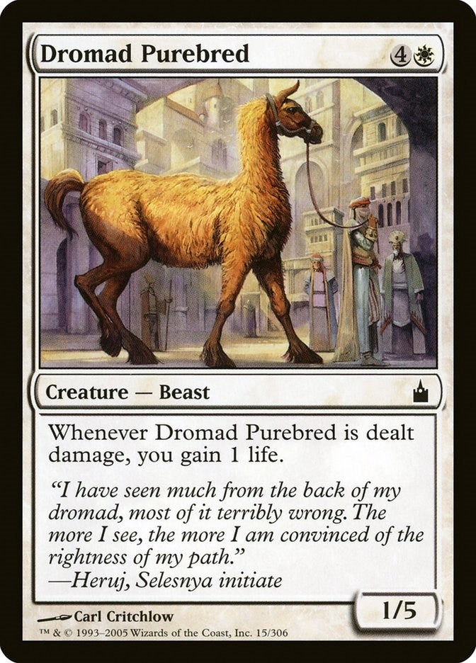 Dromad Purebred (15) (Ravnica: City of Guilds)