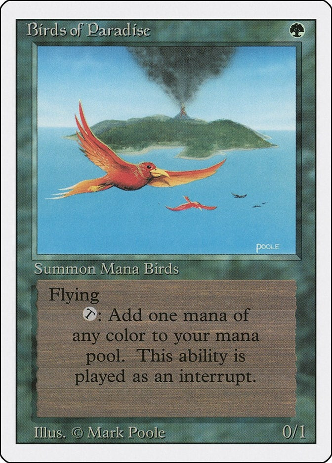 Birds of Paradise (Revised Edition)