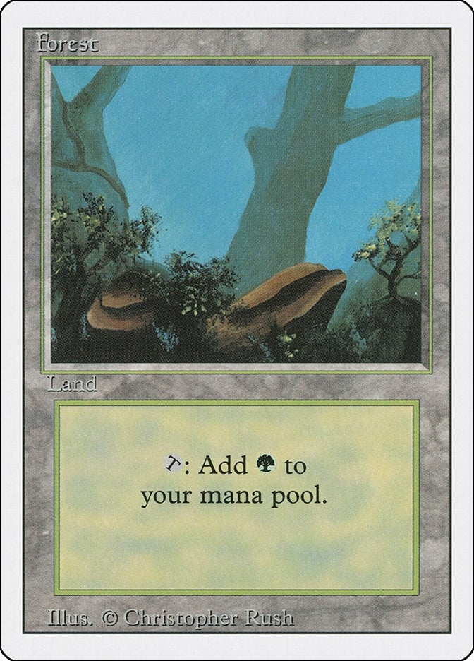 Forest (A) (284) (Revised Edition)