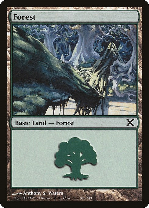 Forest (380) (380) (10th Edition)