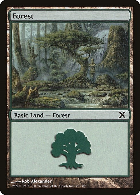 Forest (382) (382) (10th Edition)