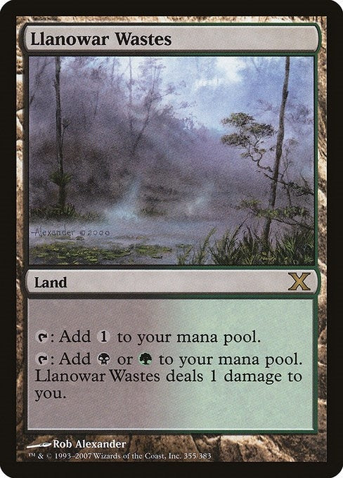 Llanowar Wastes (355) (10th Edition)
