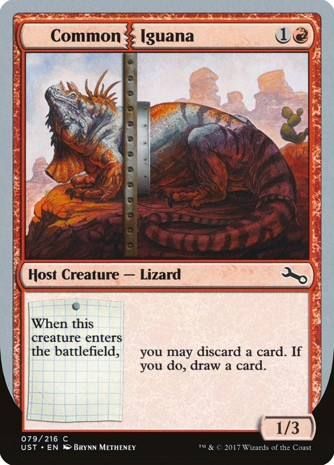 Common Iguana (79) (Unstable)