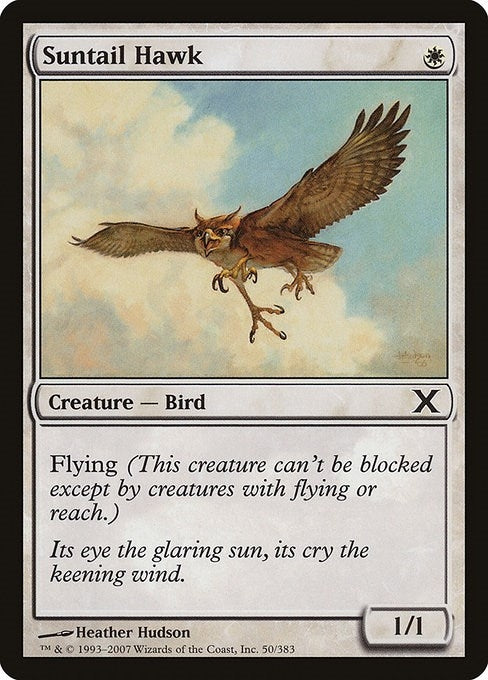 Suntail Hawk (50) (10th Edition)