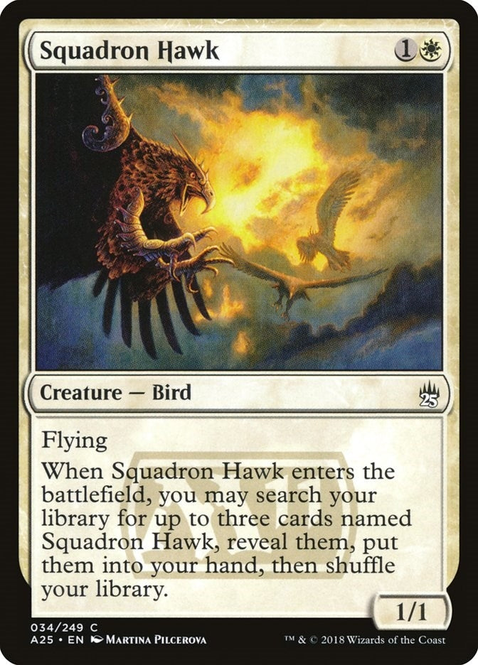 Squadron Hawk (34) (Masters 25)