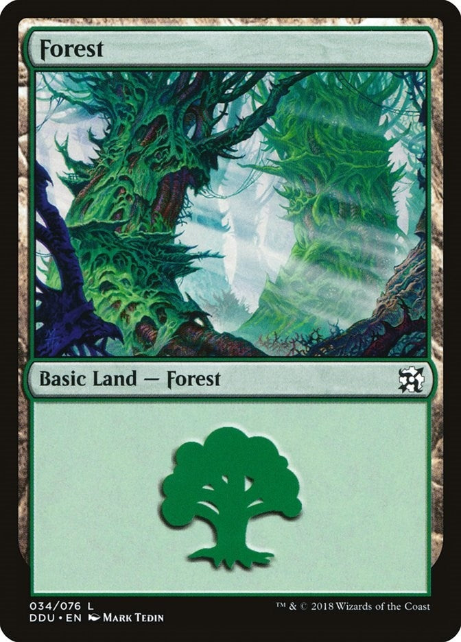 Forest (034) (34) (Duel Decks: Elves vs. Inventors)