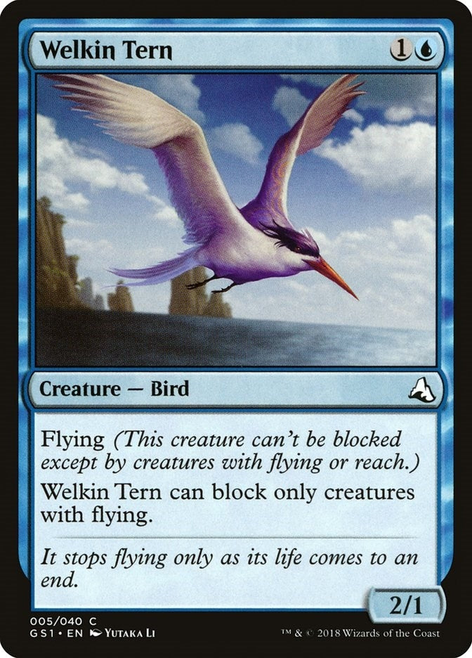Welkin Tern (5)