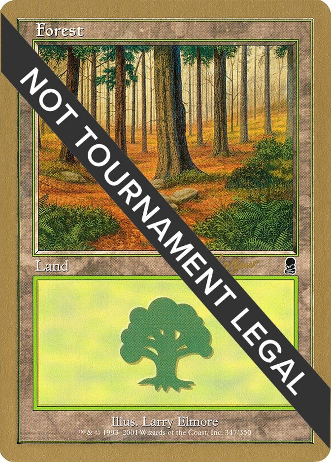 Forest (347) - 2002 Raphael Levy (ODY) (World Championship Decks)
