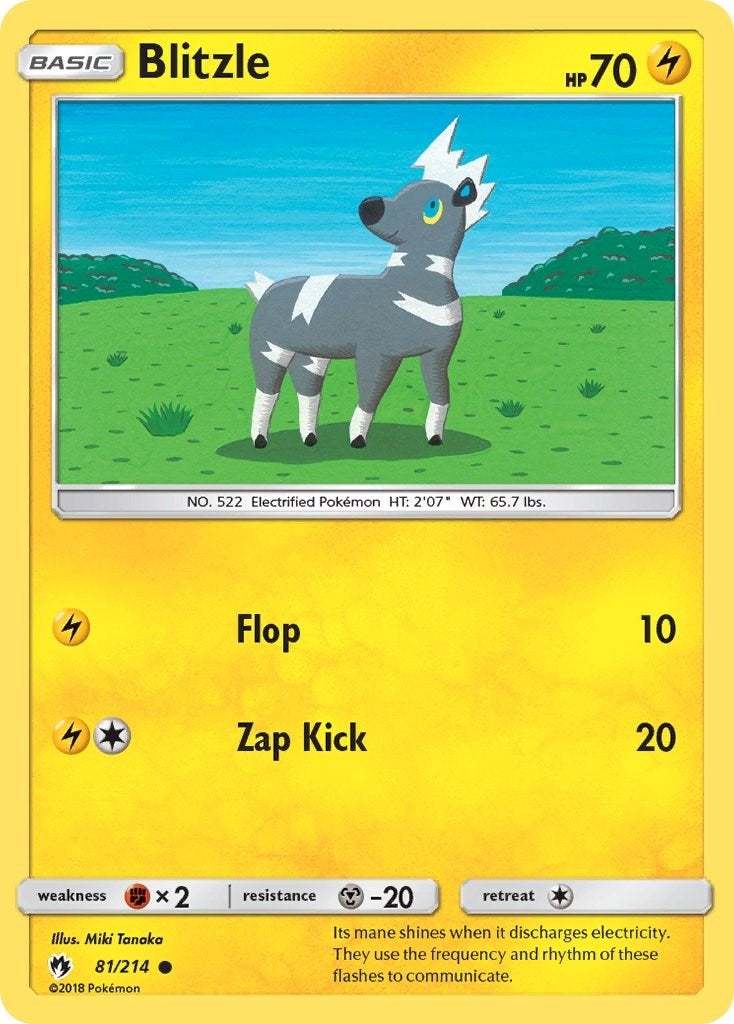 Image for Blitzle (81/214) (SM - Lost Thunder) - Pokemon