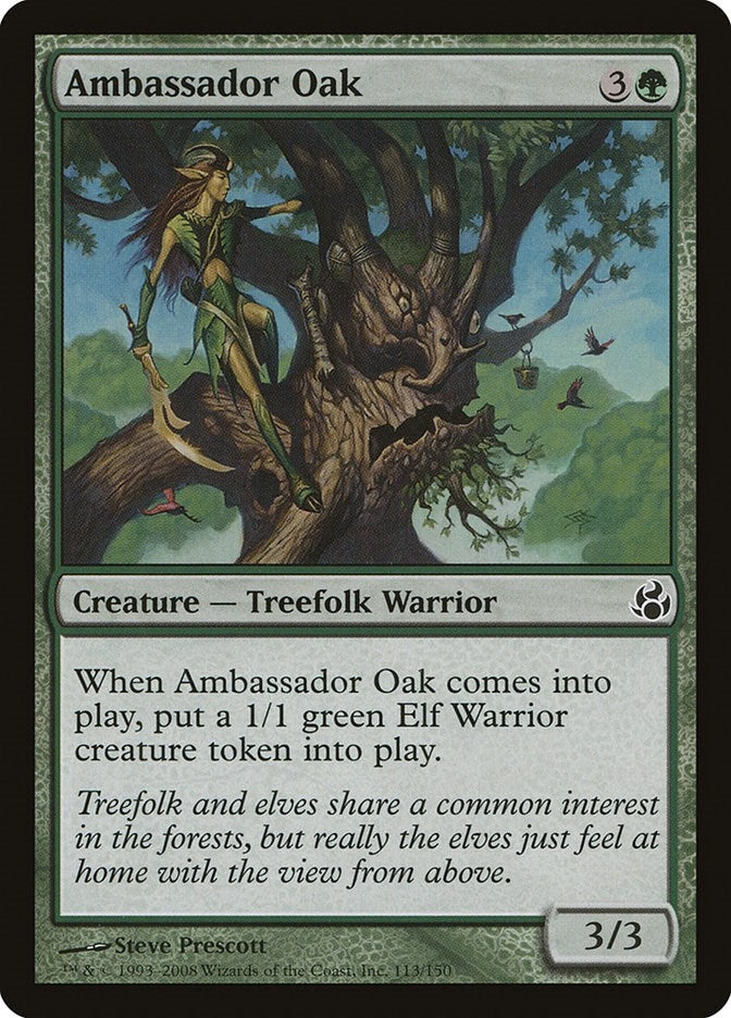Ambassador Oak (113) (Morningtide)