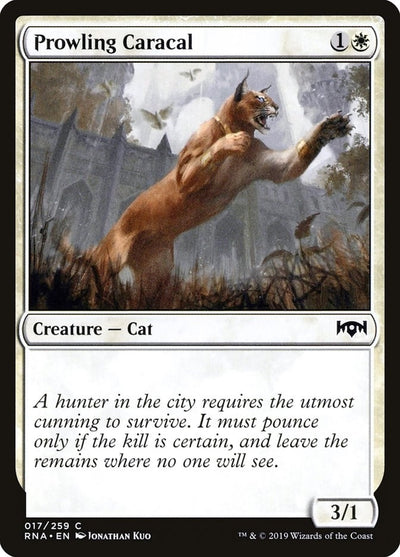 Prowling Caracal (17) (Ravnica Allegiance)