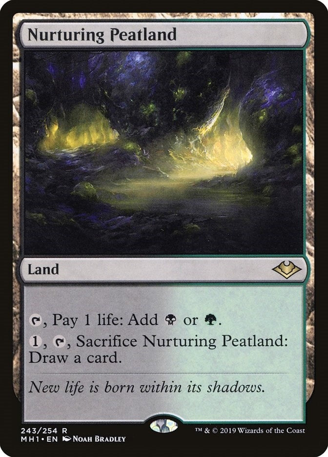 Nurturing Peatland (243) (Modern Horizons)