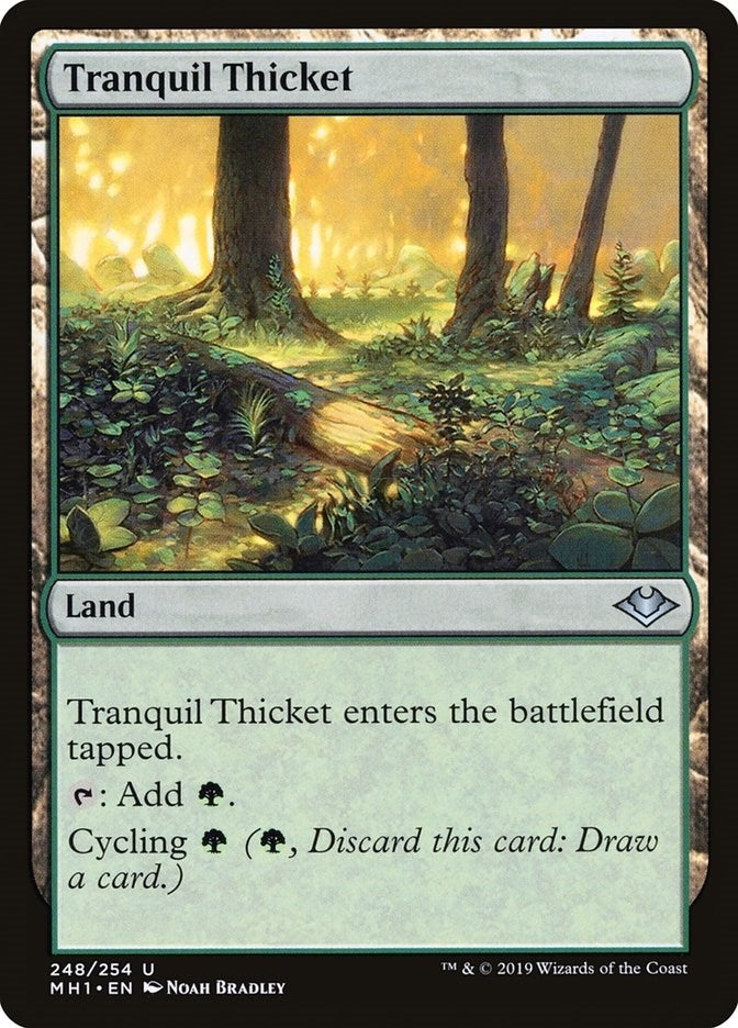 Image for Tranquil Thicket (248) - Magic: The Gathering