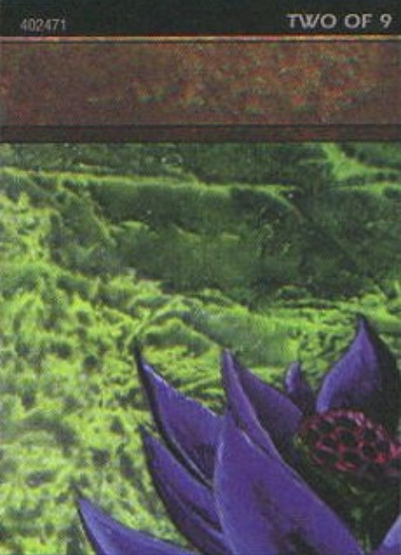 Black Lotus (2 of 9) (Ultra Pro Puzzle Quest) (1) (Media Promos)