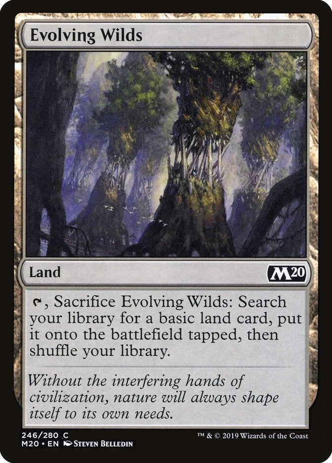 Evolving Wilds (246) (Core Set 2020)