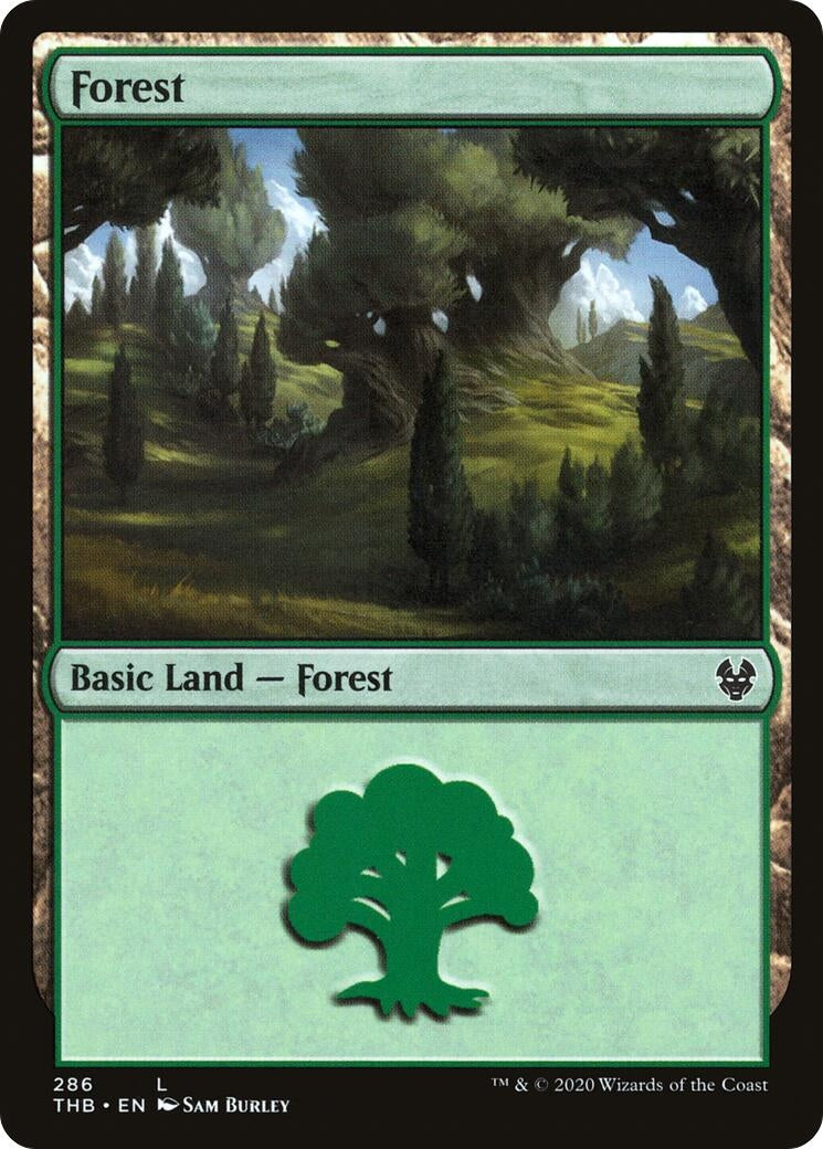 Forest (286) (286) (Theros Beyond Death)