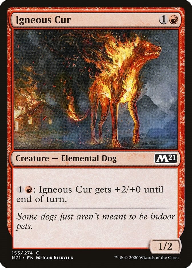Igneous Cur (153) (Core Set 2021)