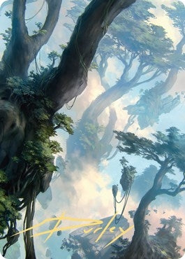 Forest Art Card (19/81) (Gold-Stamped Signature) (19) (Art Series: Zendikar Rising)