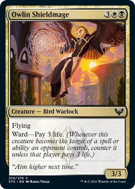Owlin Shieldmage (210) (Strixhaven: School of Mages)