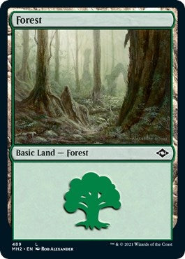 Forest (489) (Foil Etched) (489) (Modern Horizons 2)