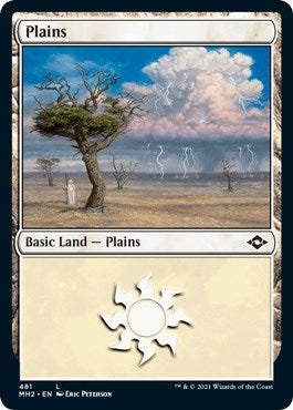 Plains (481) (Foil Etched) (481) (Modern Horizons 2)
