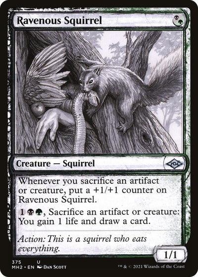 Ravenous Squirrel (Showcase) (375) (Modern Horizons 2)