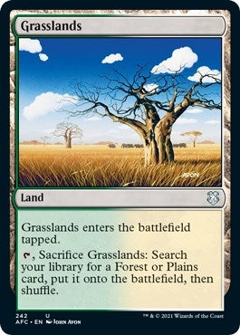 Grasslands (242) (Commander: Adventures in the Forgotten Realms)