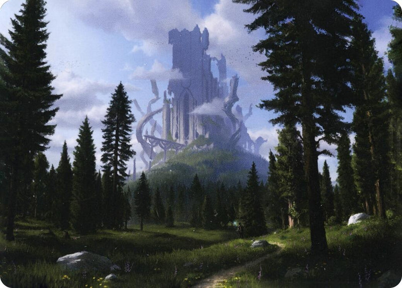 Forest (61/81) Art Card (61) (Art Series: Adventures in the Forgotten Realms)