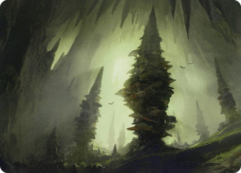 Forest (55/81) Art Card (55) (Art Series: Adventures in the Forgotten Realms)