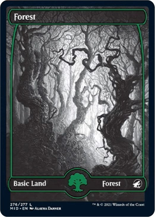 Forest (276) (276) (Innistrad: Midnight Hunt)