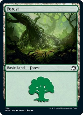Forest (384) (384) (Innistrad: Midnight Hunt)