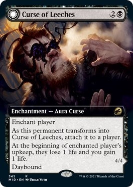 Curse of Leeches (Extended Art) (345) (Innistrad: Midnight Hunt)